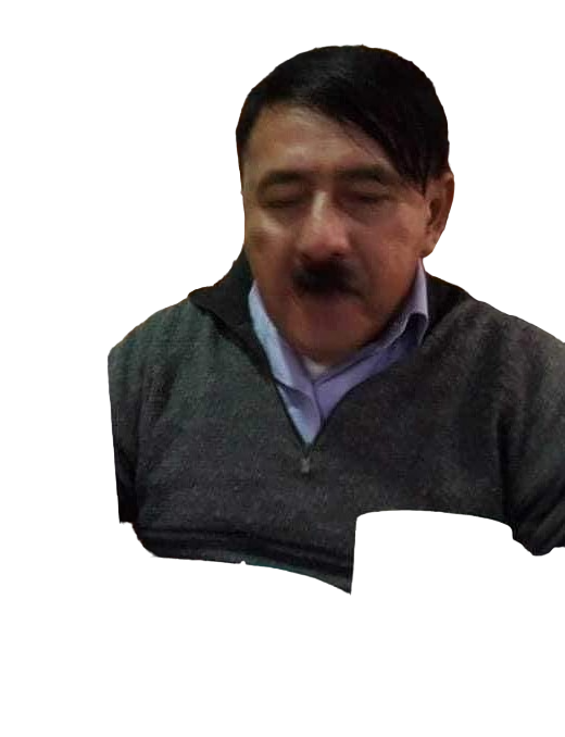 Pintor Lujan Carrión